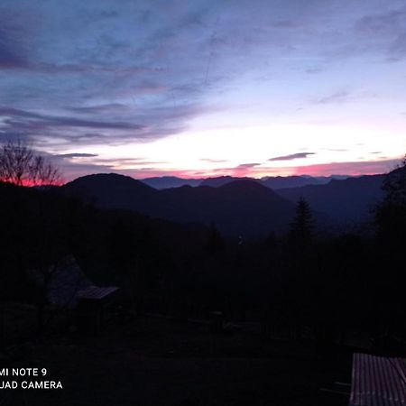 La Mesange Charbonniere Apartment Luceram Luaran gambar